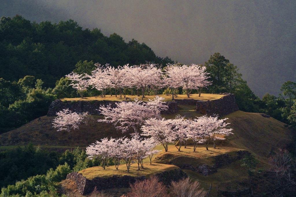 Iruka Onsen Hotel Seiryuusou Kumano Eksteriør billede